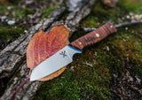 Koa Mako Fixed Blade & Leather Sheath